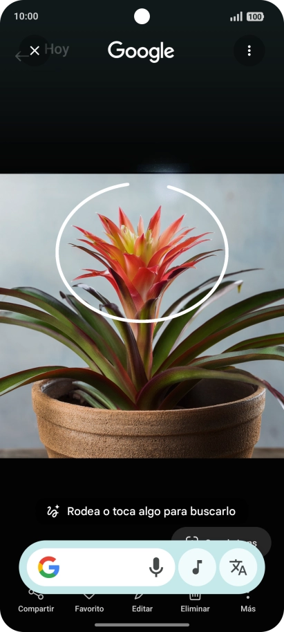 Rodea con un círculo el elemento deseado de la fotografía y espera a que aparezcan los resultados de búsqueda. Rodea con un círculo el elemento deseado de la fotografía y espera a que aparezcan los resultados de búsqueda.