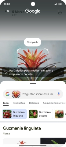 Sigue las indicaciones de la pantalla para utilizar los resultados de búsqueda. Sigue las indicaciones de la pantalla para utilizar los resultados de búsqueda.