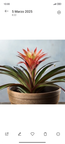 Desplázate a la fotografía deseada. Desplázate a la fotografía deseada.