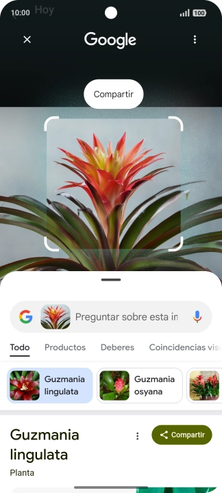 Sigue las indicaciones de la pantalla para utilizar los resultados de búsqueda. Sigue las indicaciones de la pantalla para utilizar los resultados de búsqueda.