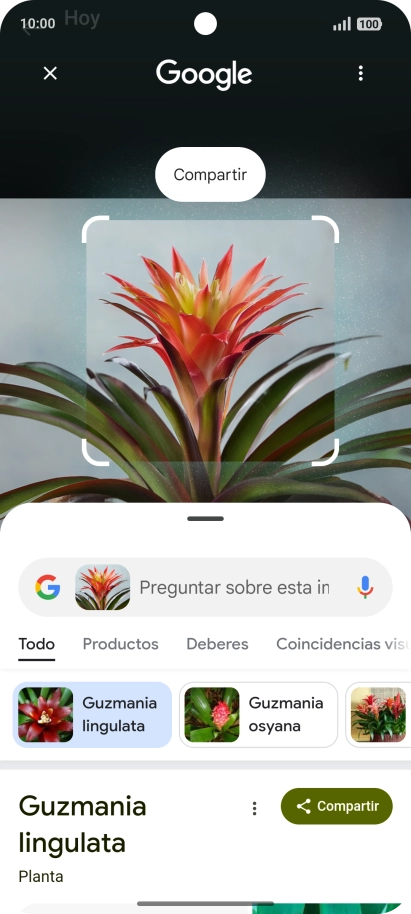 Sigue las indicaciones de la pantalla para utilizar los resultados de búsqueda. Sigue las indicaciones de la pantalla para utilizar los resultados de búsqueda.