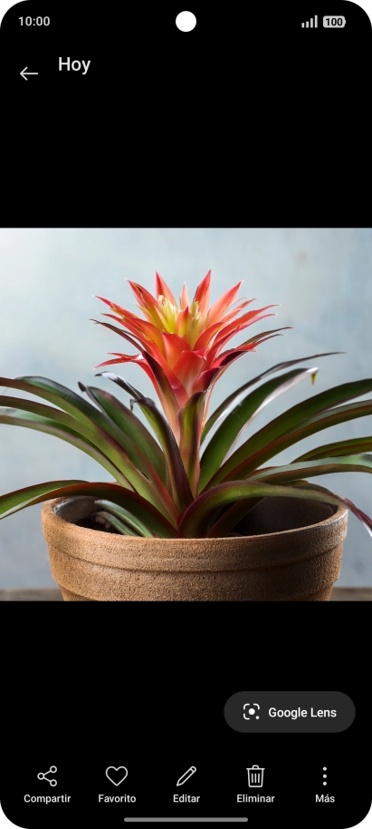 Desplázate a la fotografía deseada. Desplázate a la fotografía deseada.