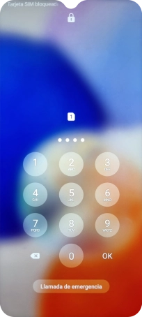 Si es necesario desbloquear la tarjeta SIM, introduce el código PIN y pulsa OK. Si es necesario desbloquear la tarjeta SIM, introduce el código PIN y pulsa OK.