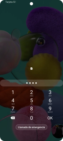 Si lo solicita el teléfono, introduce el código PIN y pulsa OK. Si lo solicita el teléfono, introduce el código PIN y pulsa OK.