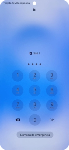 Si es necesario desbloquear la tarjeta SIM, introduce el código PIN y pulsa OK. Si es necesario desbloquear la tarjeta SIM, introduce el código PIN y pulsa OK.