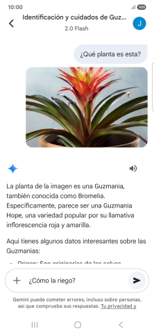 Sigue las indicaciones de la pantalla para escribir o decir en alto más preguntas y continuar la conversación. Sigue las indicaciones de la pantalla para escribir o decir en alto más preguntas y continuar la conversación.
