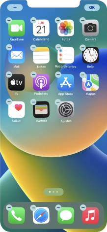 Pulsa el icono de página de pantalla de inicio. Pulsa el icono de página de pantalla de inicio.