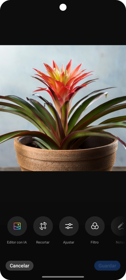 Pulsa Editor con IA. Pulsa Editor con IA.