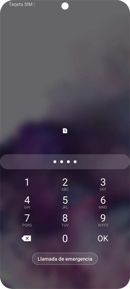 Si lo solicita el teléfono, introduce el código PIN y pulsa OK. Si lo solicita el teléfono, introduce el código PIN y pulsa OK.