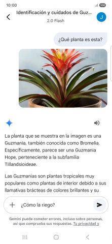 Sigue las indicaciones de la pantalla para escribir o decir en alto más preguntas y continuar la conversación. Sigue las indicaciones de la pantalla para escribir o decir en alto más preguntas y continuar la conversación.