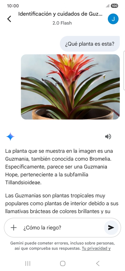 Sigue las indicaciones de la pantalla para escribir o decir en alto más preguntas y continuar la conversación. Sigue las indicaciones de la pantalla para escribir o decir en alto más preguntas y continuar la conversación.