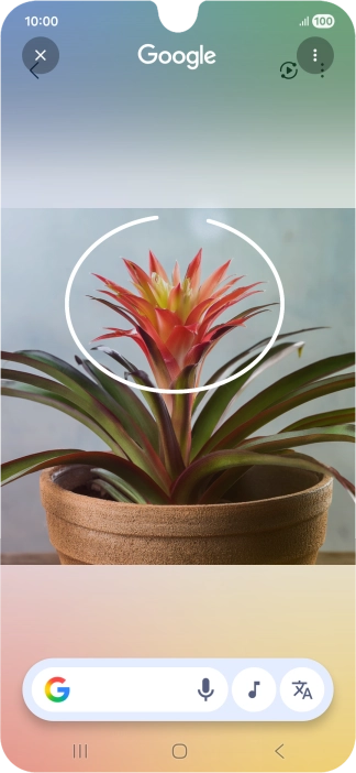 Draw a circle around the required object on the picture and wait for the search results. Draw a circle around the required object on the picture and wait for the search results.