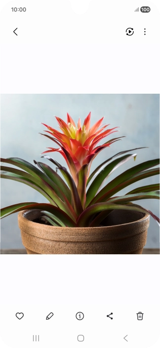 Go to the required picture. Go to the required picture.