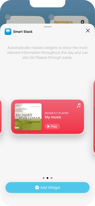 Slide your finger right or left on the screen to select the required widget size. Slide your finger right or left on the screen to select the required widget size.