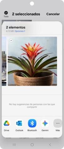 Pulsa Drive. Pulsa Drive.