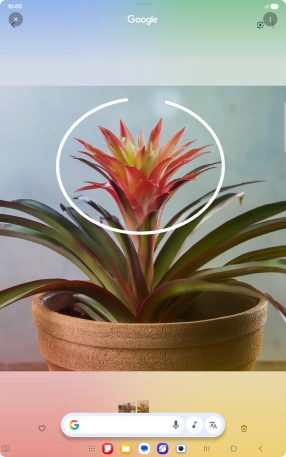 Draw a circle around the required object on the picture and wait for the search results. Draw a circle around the required object on the picture and wait for the search results.