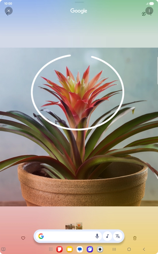 Draw a circle around the required object on the picture and wait for the search results. Draw a circle around the required object on the picture and wait for the search results.