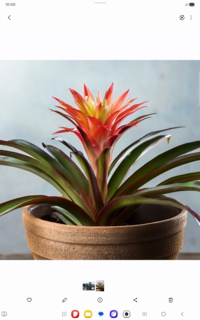 Go to the required picture. Go to the required picture.