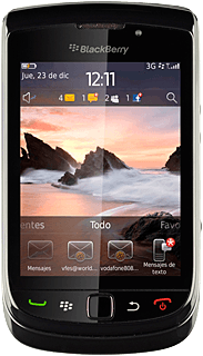 BlackBerry 9800 Slider BlackBerry 9800 Slider