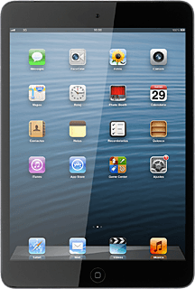 Apple iPad mini (iOS6)