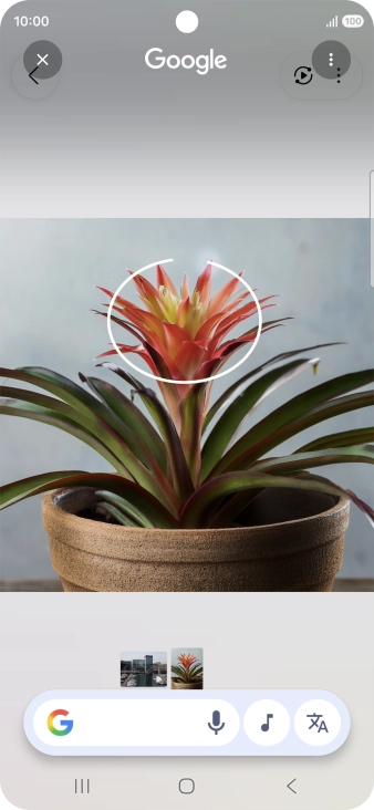 Draw a circle around the required object on the picture and wait for the search results. Draw a circle around the required object on the picture and wait for the search results.