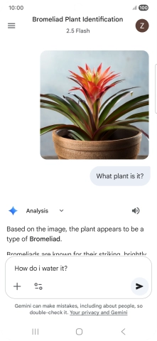Follow the instructions on the screen to type or speak more questions to continue the conversation. Follow the instructions on the screen to type or speak more questions to continue the conversation.