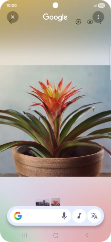 Draw a circle around the required object on the picture and wait for the search results. Draw a circle around the required object on the picture and wait for the search results.