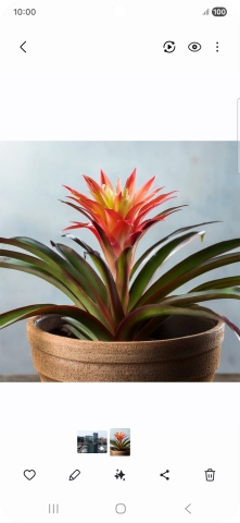 Go to the required picture. Go to the required picture.