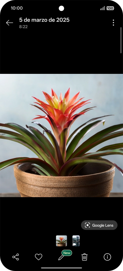 Desplázate a la fotografía deseada. Desplázate a la fotografía deseada.