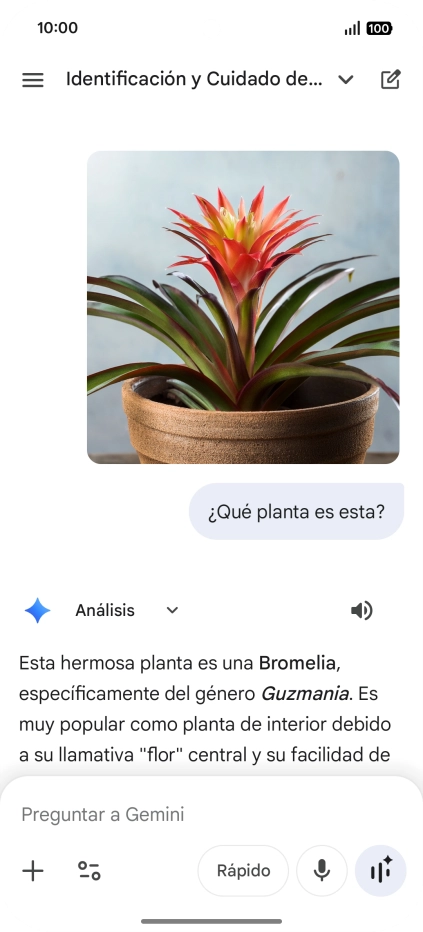 Sigue las indicaciones de la pantalla para escribir o decir en alto la pregunta deseada. Puedes adjuntar fotografías o documentos y hacer preguntas acerca de ellos. Sigue las indicaciones de la pantalla para escribir o decir en alto la pregunta deseada. Puedes adjuntar fotografías o documentos y hacer preguntas acerca de ellos.