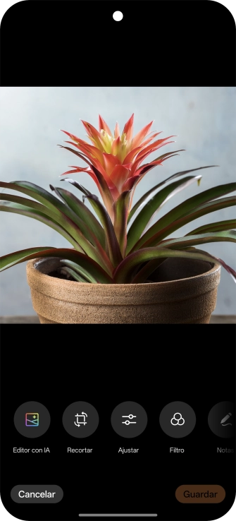 Pulsa Editor con IA. Pulsa Editor con IA.