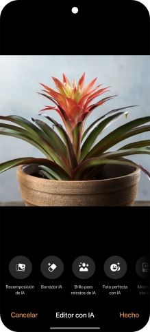 Pulsa los ajustes deseado y sigue las indicaciones de la pantalla para utilizar la función seleccionada. Pulsa los ajustes deseado y sigue las indicaciones de la pantalla para utilizar la función seleccionada.