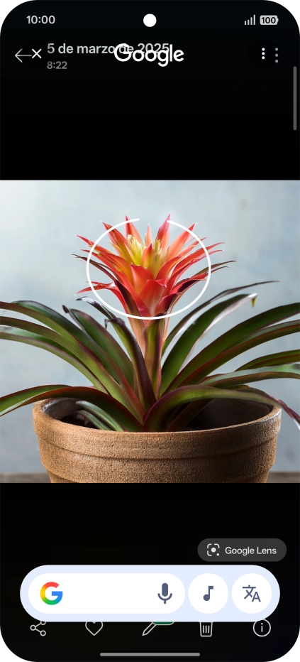 Rodea con un círculo el elemento deseado de la fotografía y espera a que aparezcan los resultados de búsqueda. Rodea con un círculo el elemento deseado de la fotografía y espera a que aparezcan los resultados de búsqueda.