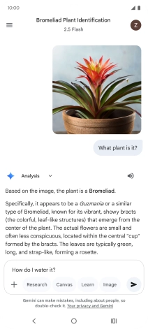 Follow the instructions on the screen to type or speak more questions to continue the conversation. Follow the instructions on the screen to type or speak more questions to continue the conversation.