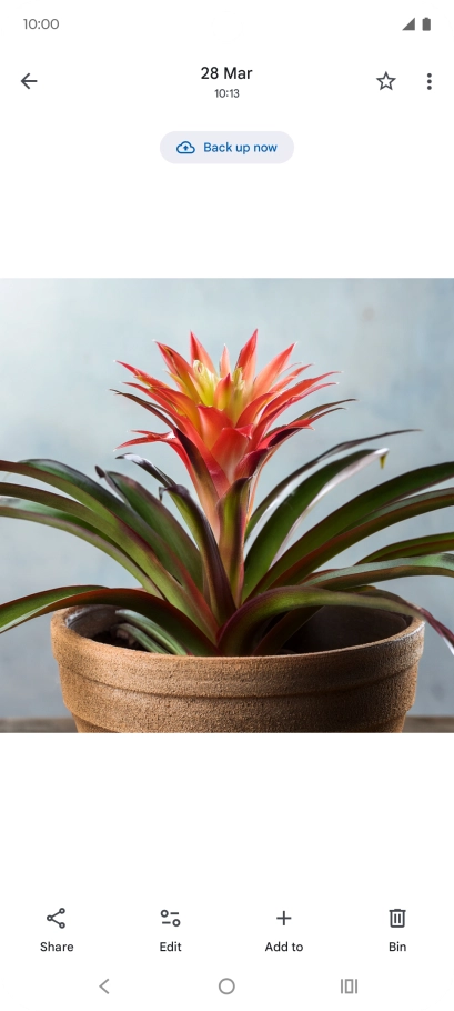 Go to the required picture. Go to the required picture.