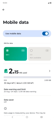 The total data usage is displayed. The total data usage is displayed.
