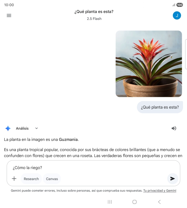 Sigue las indicaciones de la pantalla para escribir o decir en alto más preguntas y continuar la conversación. Sigue las indicaciones de la pantalla para escribir o decir en alto más preguntas y continuar la conversación.