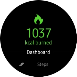 Press the pedometer icon. Press the pedometer icon.