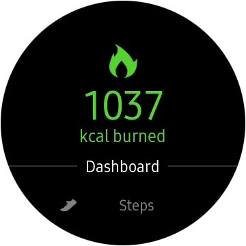 Press the pedometer icon. Press the pedometer icon.