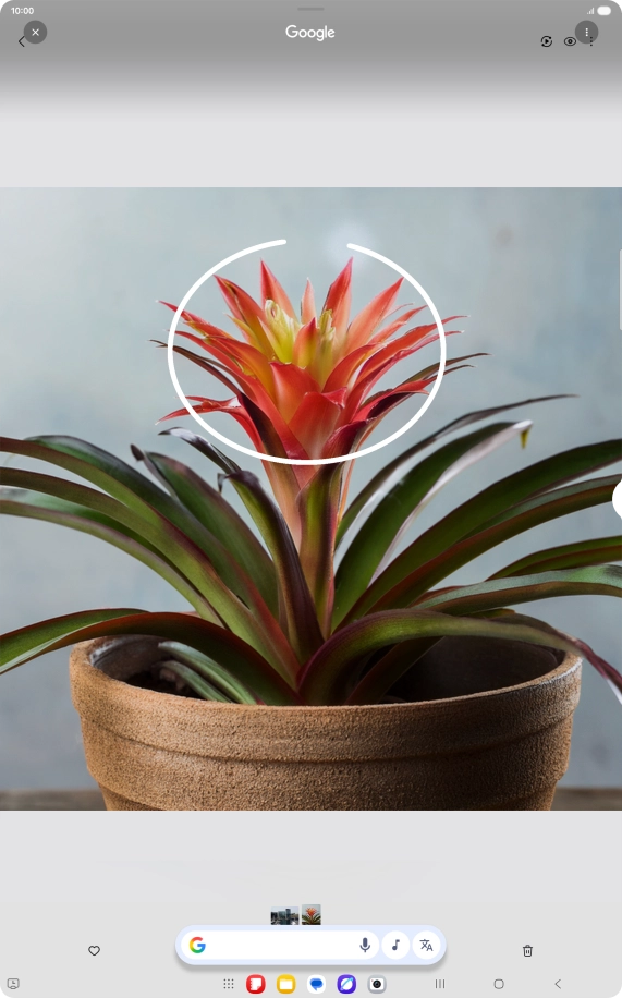 Draw a circle around the required object on the picture and wait for the search results. Draw a circle around the required object on the picture and wait for the search results.