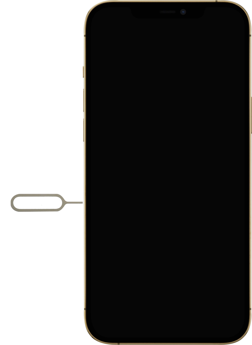 Insert SIM - Apple iPhone 12 Pro Max (iOS 14.1) - Telstra