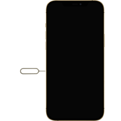 Insert SIM - Apple iPhone 12 Pro Max (iOS 14.1) - Telstra