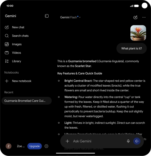 Follow the instructions on the screen to type or speak the required question. You can also attach pictures or documents and ask questions to them.