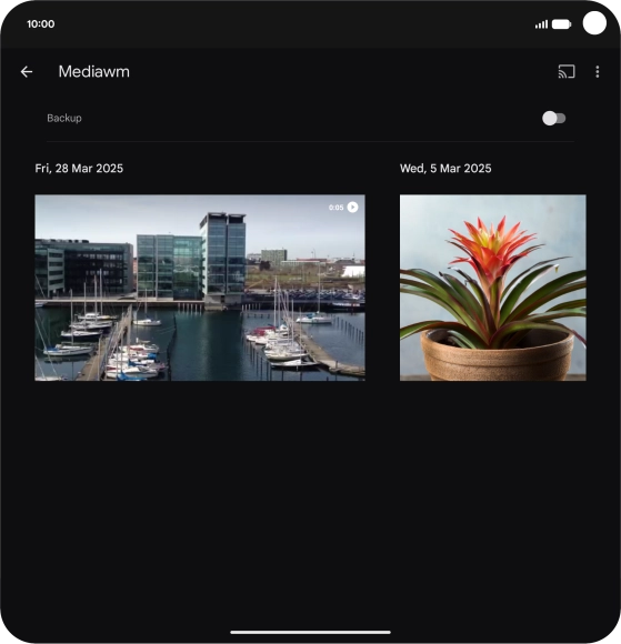 Press and hold any picture or video.