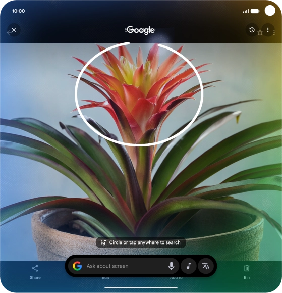 Draw a circle around the required object on the picture and wait for the search results.