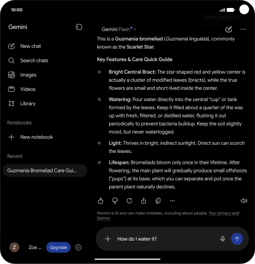 Follow the instructions on the screen to type or speak more questions to continue the conversation.