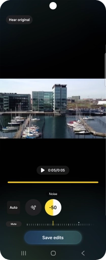 Press Mute to completely remove the selected audio type from the video.