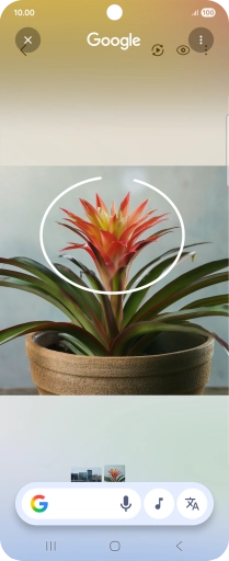 Draw a circle around the required object on the picture and wait for the search results.