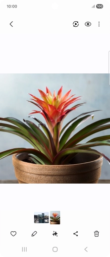 Go to the required picture.