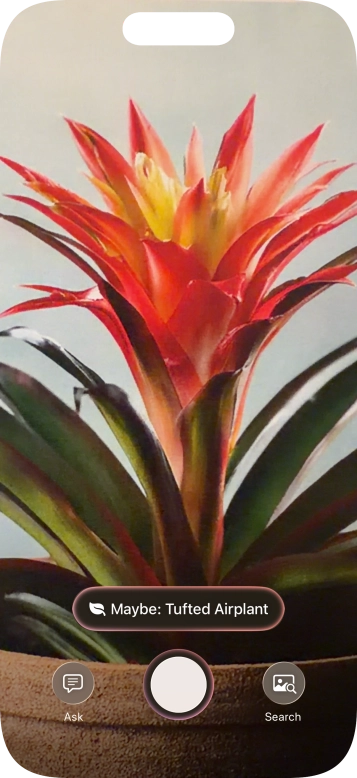 For information about animals and plants, press the information field.